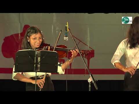 The Waves Of Danube - Violin