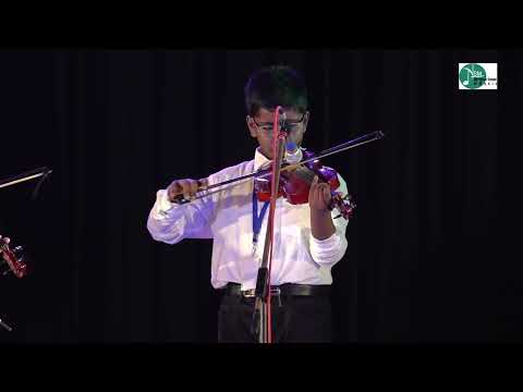Violin Performance