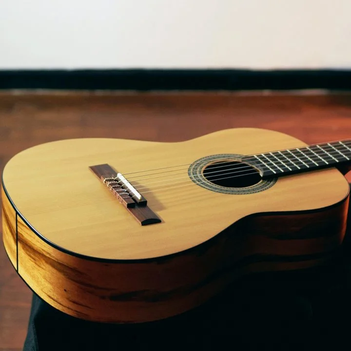 Classical Guitar Classes in Kolkata at the NSM