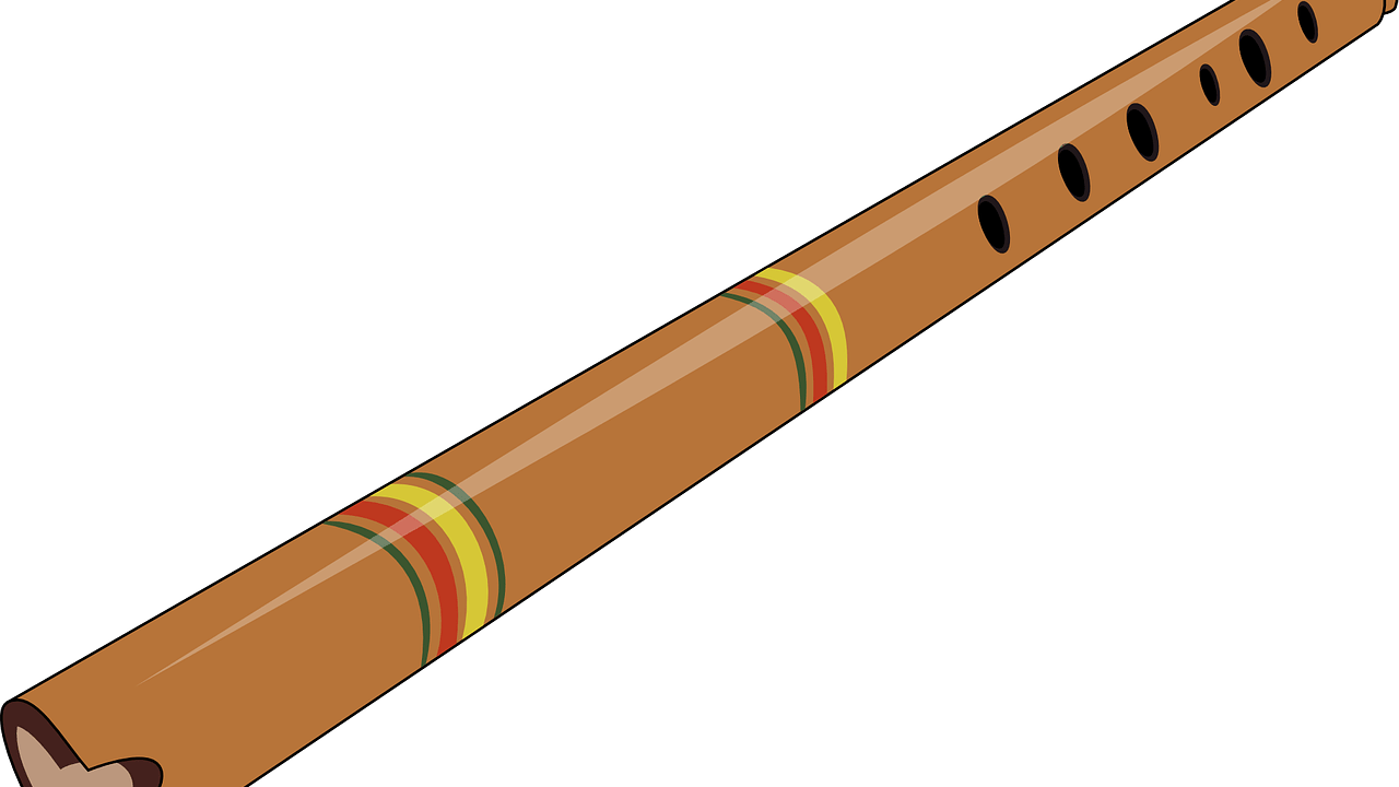 FLUTE classes near DUMDUM STATION | Learn FLUTE in KOLKATA - NSM