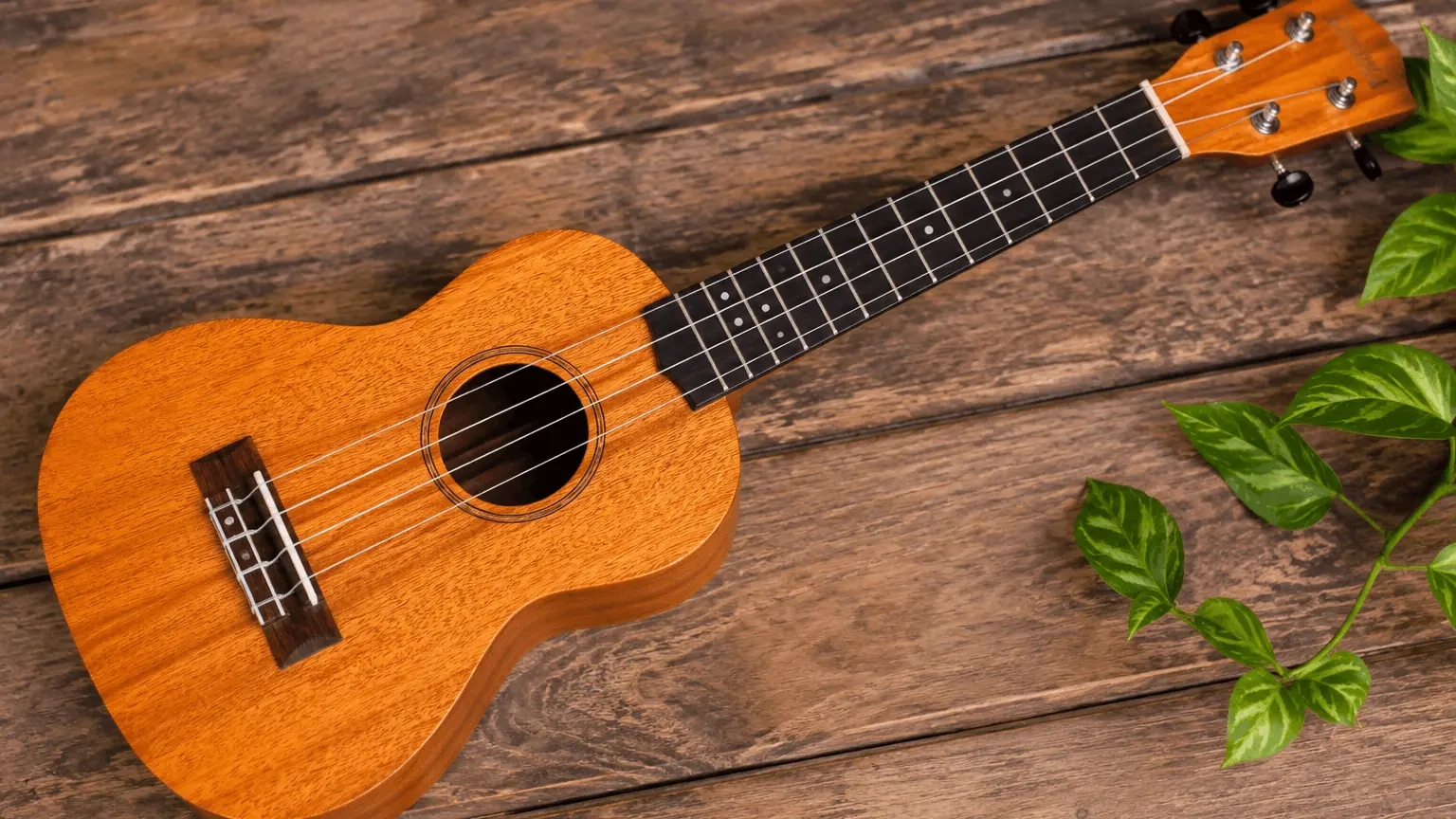 Online Ukulele Classes